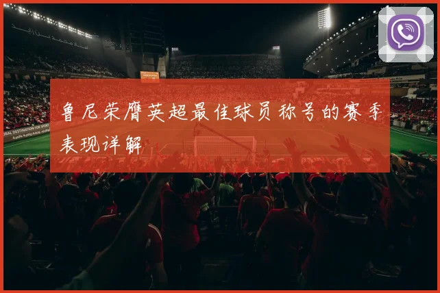 鲁尼荣膺英超最佳球员称号的赛季表现详解