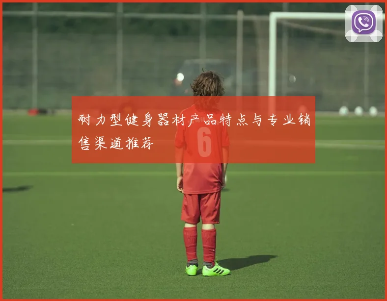 耐力型健身器材产品特点与专业销售渠道推荐
